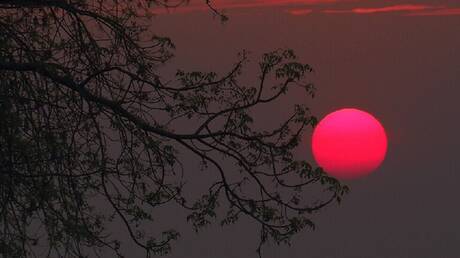 "القمر الدموي" بين الوحش المفترس ودعوات الشفاء!