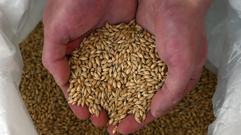 محصول الحبوب الأوكراني يرتفع 5 بالمئة في 2023