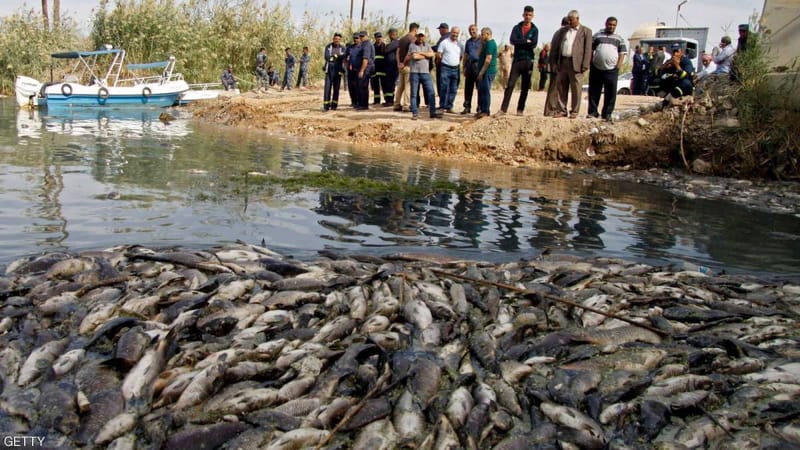 وزارة الزراعة  أوضحت برنامجها لمواجهة التغيرات المناخية وشح المياه ونفوق الاسماك