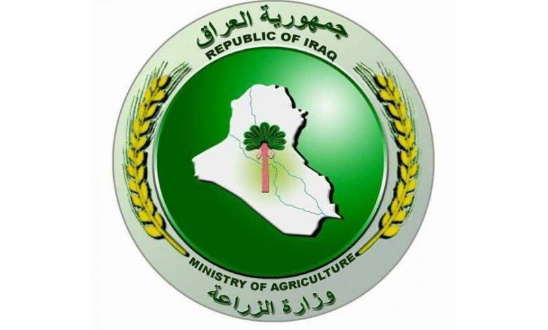 الزراعة توجه 3 دعوات لمزارعي النخيل وتوضح حجم الإنتاج السنوي