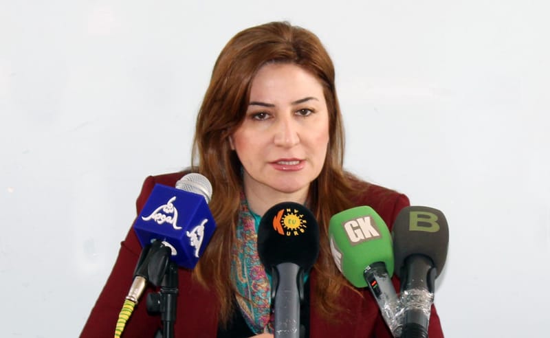 الديمقراطي الكوردستاني: الحكومة العراقية غير قادرة على طرد القوات الأجنبية