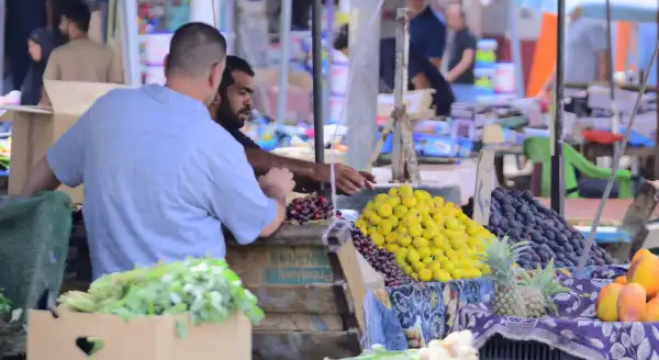 العراق يمنع استيراد 4 منتجات زراعية إيرانية