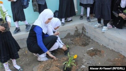 الزراعة تطلق حملة "نداء الأرض" لتشجير المدارس