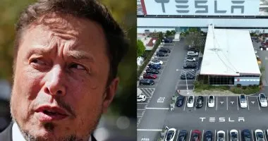 ثروة إيلون ماسك تهبط تحت 200 مليار دولار لأول مرة منذ يونيو