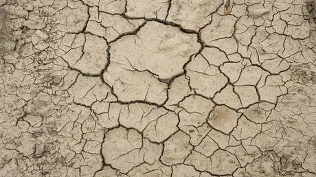 الجفاف القاتل" قادم إلى أوروبا أبكر بكثير مما كان متوقعا