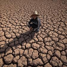 ما علاقة حركة النزوح وتغير المناخ؟.. مفوض اللاجئين يكشف