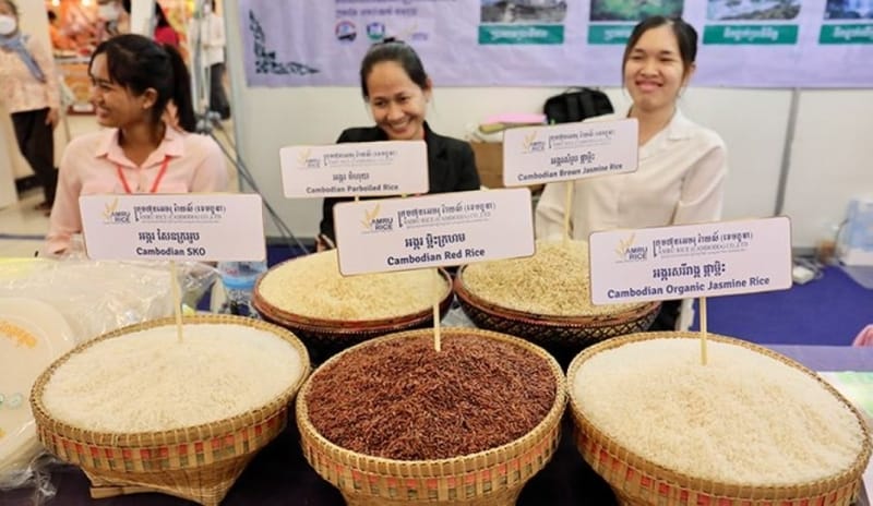 كمبوديا تستعد لغزو العراق بصادرات الأرز