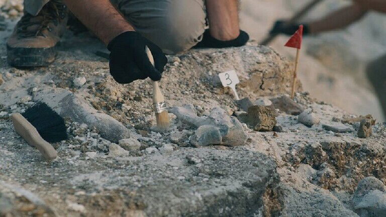 اكتشاف "تقويم سماوي" في مقبرة صينية قديمة!