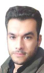 ديموقراطية بطعم الاستبداد