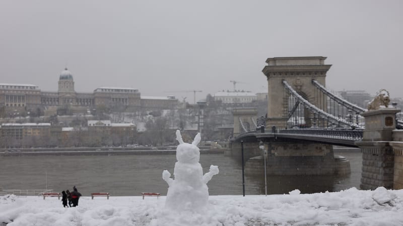 إطلاق اسم "مؤسس الصهيونية" على ساحة أكبر كنيس في أوروبا