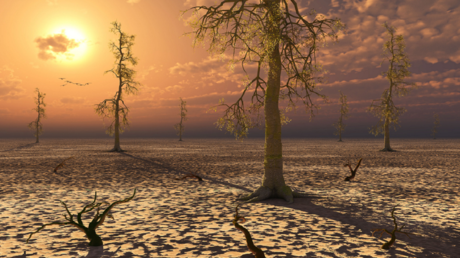 عالم في ناسا: الحرارة القياسية لعام 2023 مدفوعة جزئيا بـ"عملية غامضة"