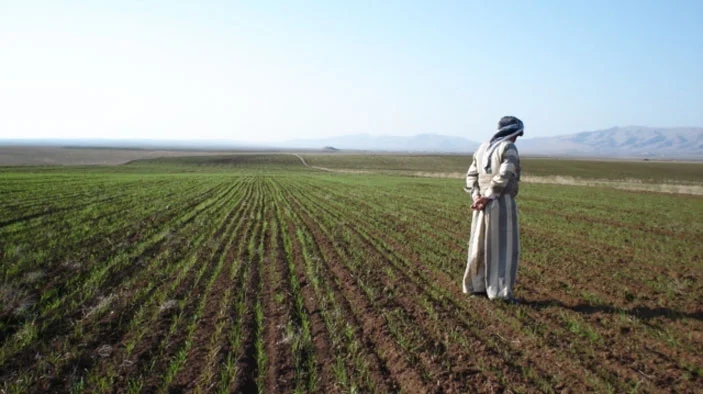 الزراعة الديمية بانتظار "زخة انعاش".. امامها 14 يوماً قبل موتها بالكامل