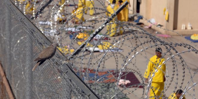 هل يستجيب البرلمان لدعوات الصدر ويشرع قانون العفو العام؟