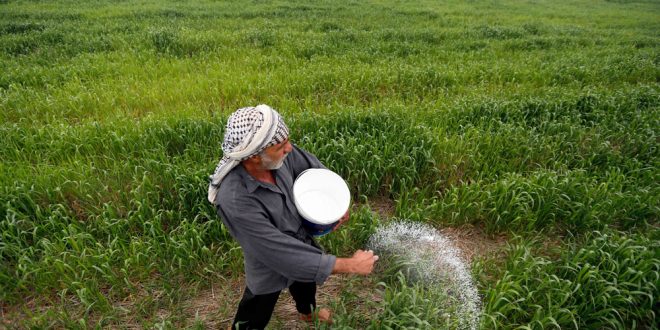 الزراعة تكشف عن مسببات قرار رفع الدعم عن الأسمدة وتؤكد اقتصاره على الموسم الحالي فقط