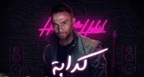هل قصد حسام حبيب طليقته شيرين بأغنية كدابة
