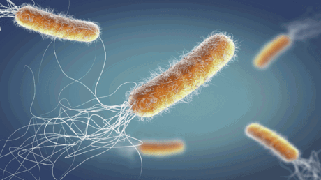 ابتكار "مركب قوي" مضاد للبكتيريا الخارقة