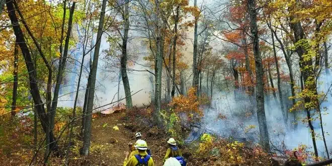 حرائق الغابات تهدد سكان تكساس بالاخلاء من منازلهم