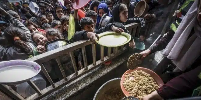 الأمم المتحدة تحذر من مجاعة كبيرة في غزة