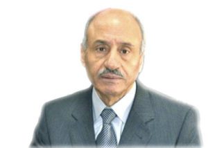 مجالس المحافظات والعمل الخدمي في المناطق العشائرية