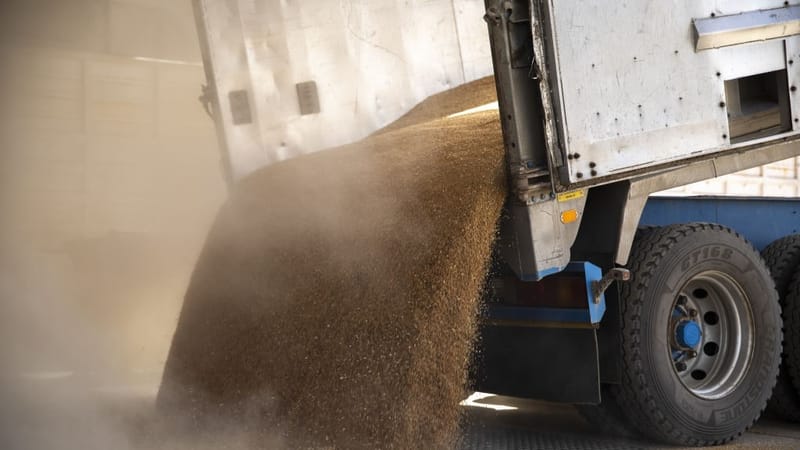 إحباط عملية تهريب للحنطة المخصصة للبطاقة التموينية في بغداد