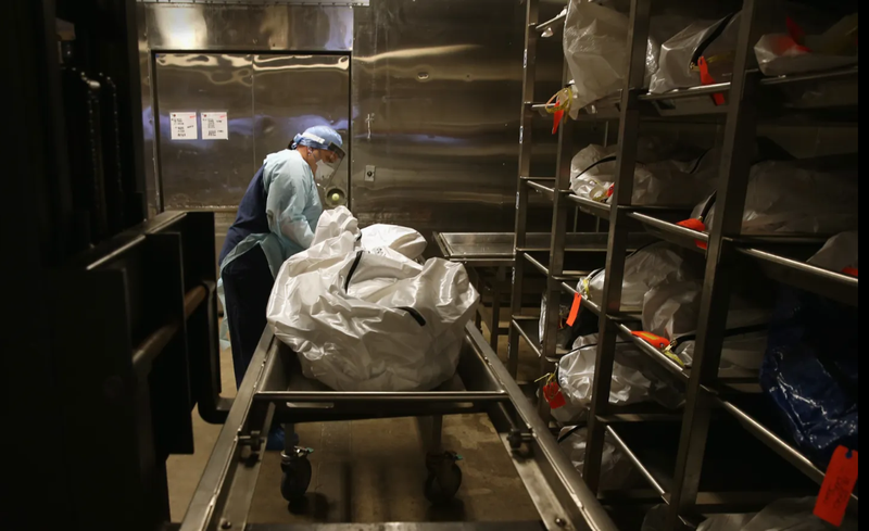 جريمة "بيع الموتى" تهز أمريكا.. زوجة مسؤول تشحن أجزاء بشرية