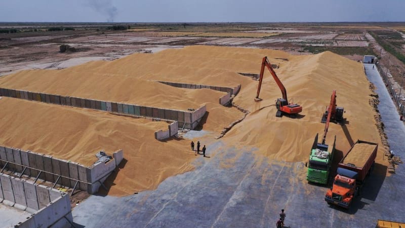 أخبار سارة لمزارعي الحنطة.. راصد جوي: تقلبات الربيع لن تؤثر على موسم الحصاد