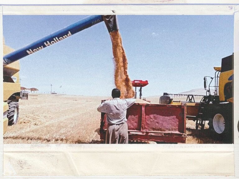 الصحراء تزحف لأراضيها.. هل تستعيد نينوى مكانتها الزراعية؟