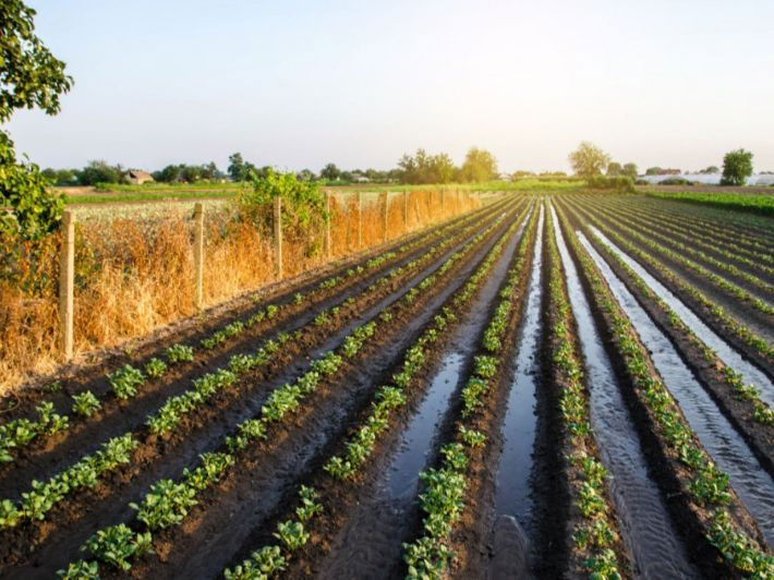 العراق يطبق "استراتيجية حديثة" للتخلص من "عادة سومرية" استنزفت مياه النهرين