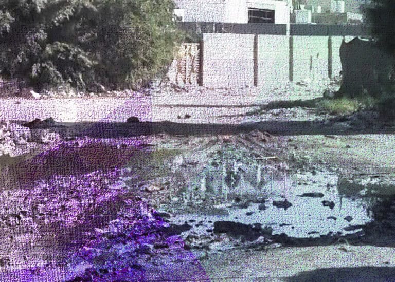 صورة «كارتونية».. تعرف على واقع كربلاء الحقيقي