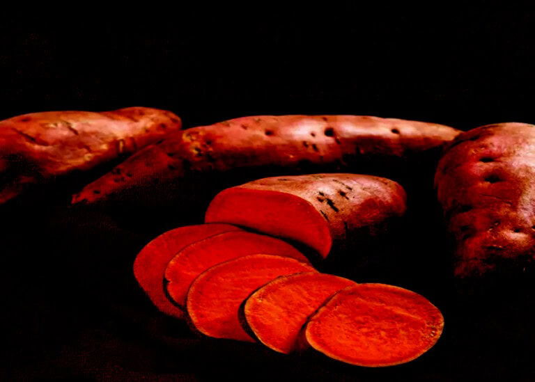 البطاطا «الحلوة».. تجربة زراعية أثبتت نجاحها في المثنى