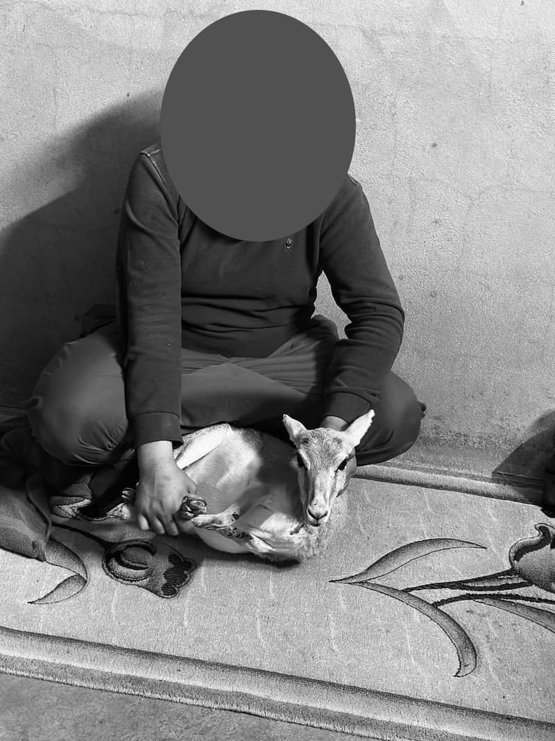 الاطاحة بـ 15 شخصاً من صيادي الغزلان على الحدود العراقية الإيرانية