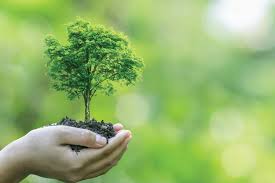 الثقافة البيئية.. العراق يبدأ متأخرا