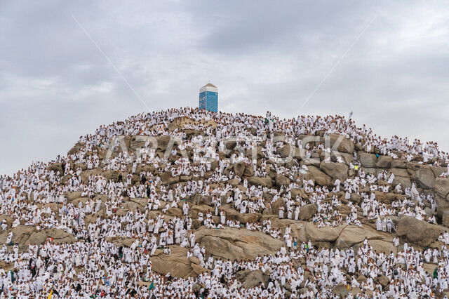 الركن الأعظم.. جبل الرحمة يتلوّن بالأبيض