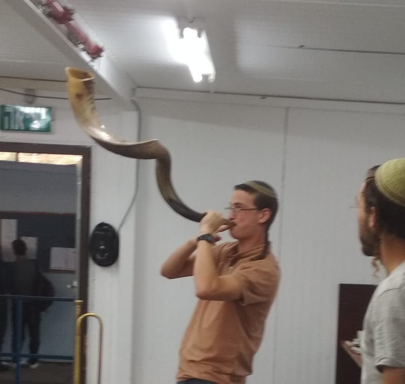 קולות השופר השונים