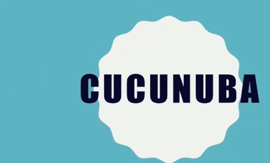 EL JUEGO DE CUCUNUBÁ