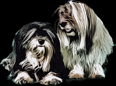 EllinglyHavanese.com