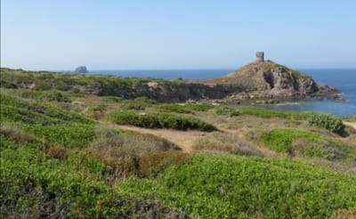 Columbargia: una torre custode della storia