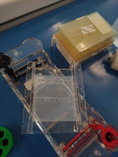 GLI ALUNNI DELLA 5^A SULLA SCENA DEL CRIMINE