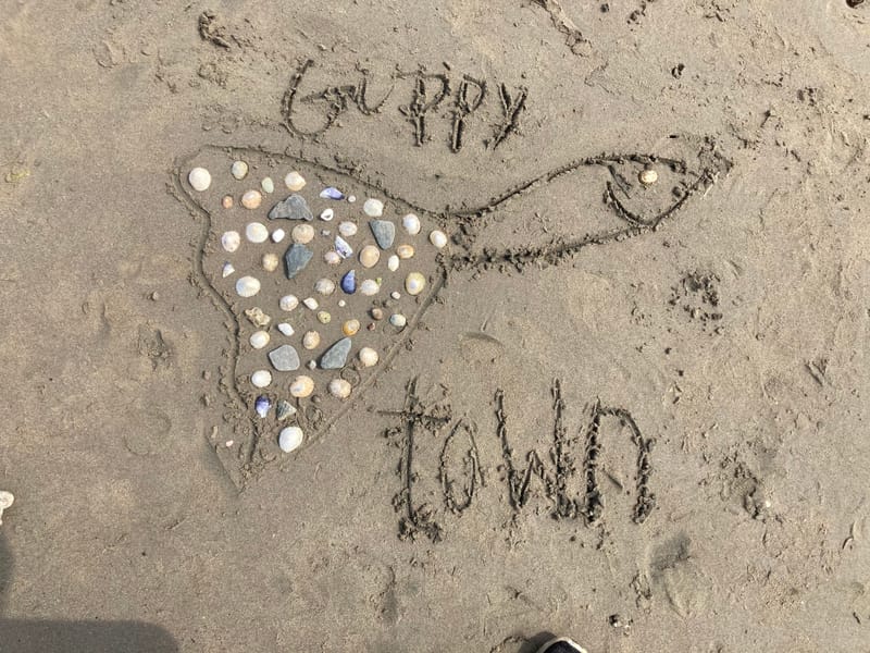 Guppy town lyrics  image