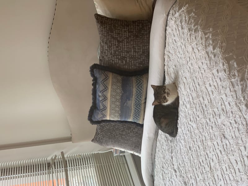 Studio cleaning before and after