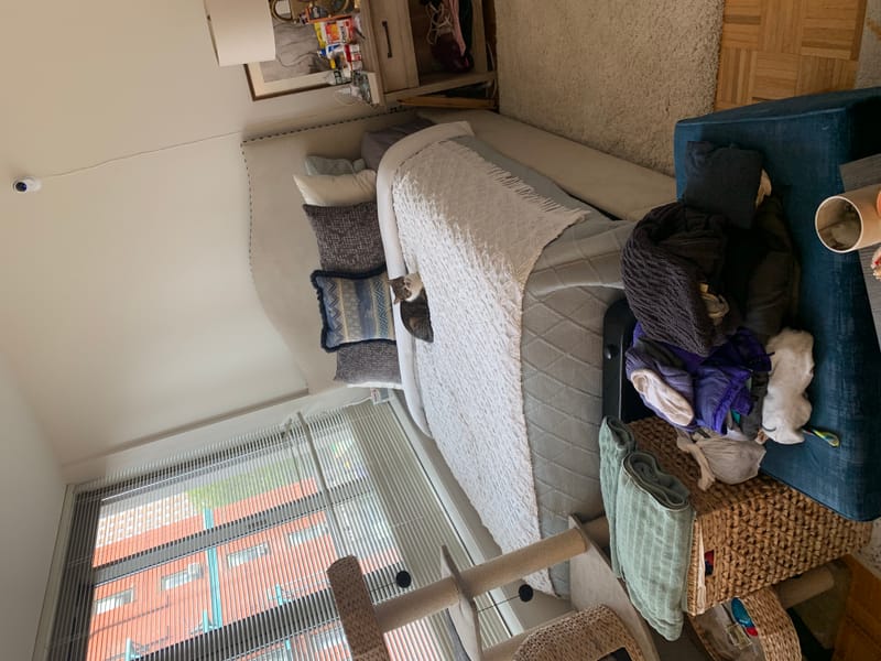 Studio cleaning before and after