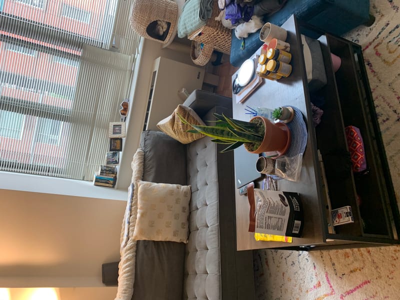 Studio cleaning before and after