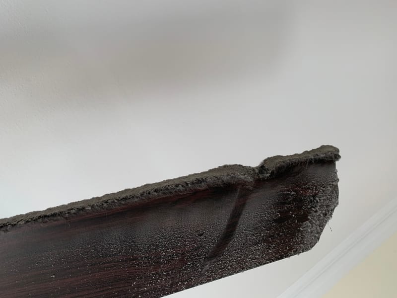 Ceiling fan deep cleaning