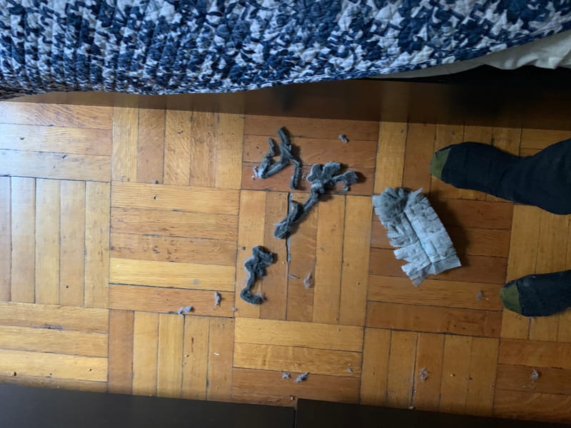 Ceiling fan deep cleaning