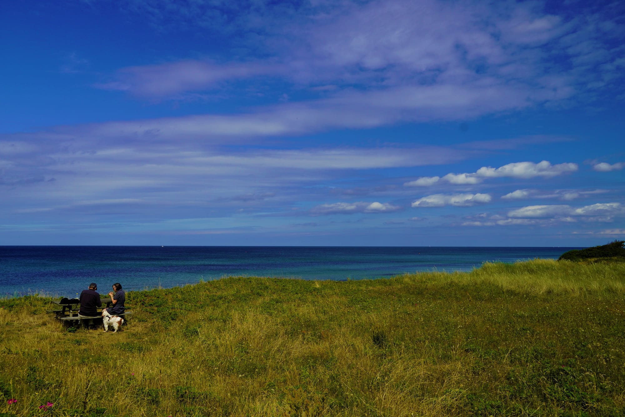 People in the nature