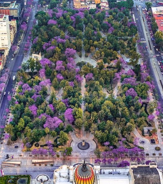 Alameda Central