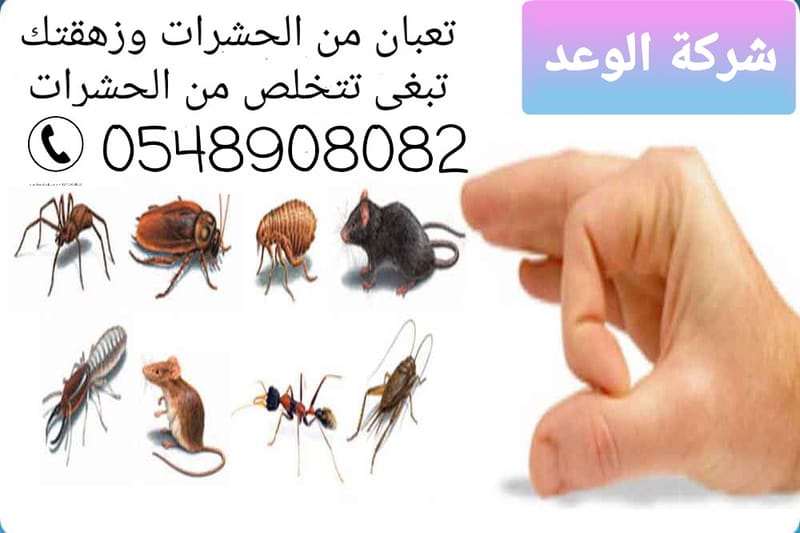 مكافحة جميع الحشرات القارضه والزاحفه 0548908082