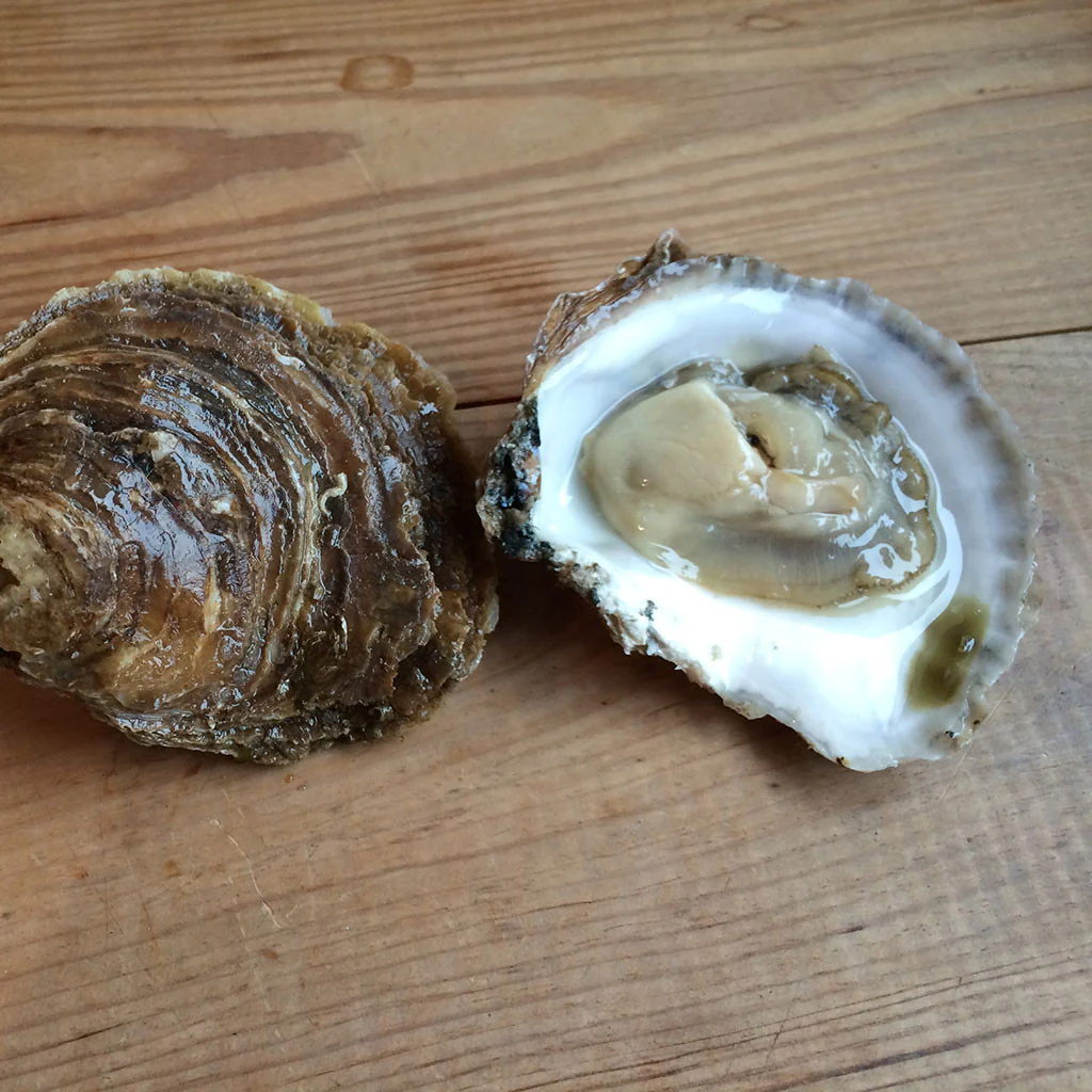 OYSTERS - Love them or hate them