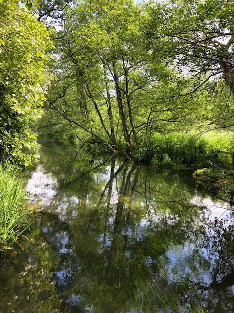 A WANDER THROUGH WINCHESTER'S MOORS