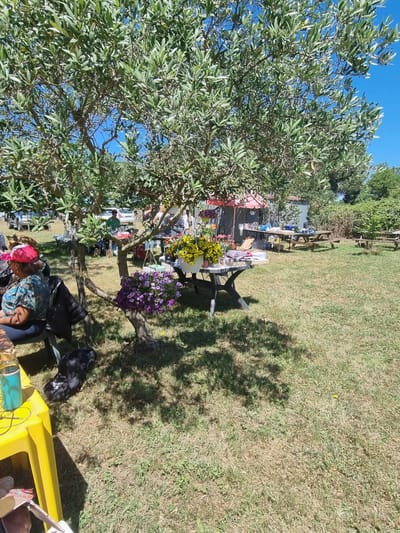 Journée champêtre du 13 juin 2024